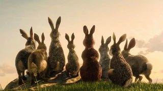 James McAvoy Leads a Star-Studded Rabbit Rebellion in the First Trailer for <i>Watership Down</i><em></em>